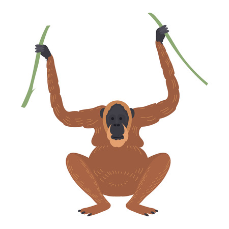 Macaque monkey rare animal vector.のイラスト素材