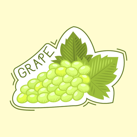 Bunche of grape badge vector illustration.のイラスト素材