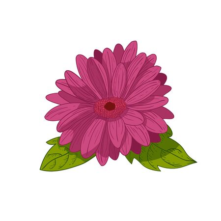 Vintage flower vector illustration.のイラスト素材