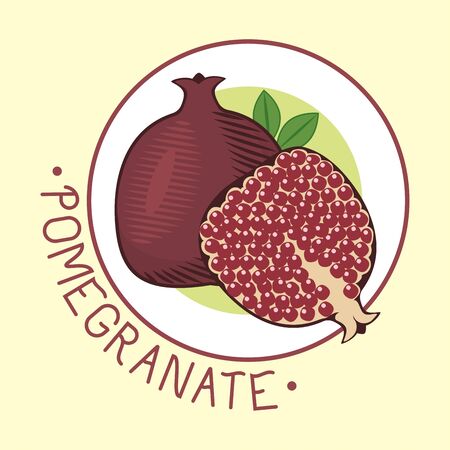 Decorative ornamental pomegranate fruit vector illustration.のイラスト素材