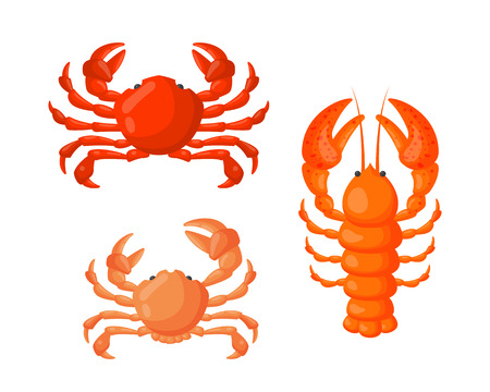 Lobster and crab vector flat illustration.のイラスト素材