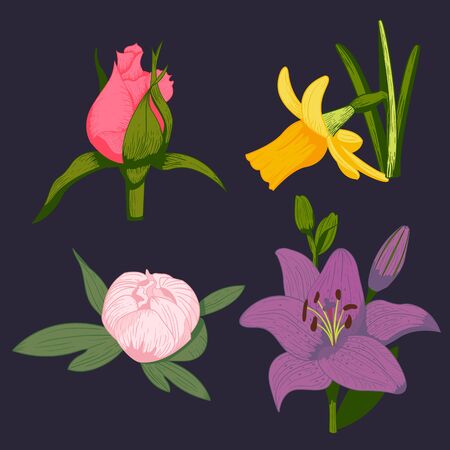 Vintage flowers vector illustration.のイラスト素材