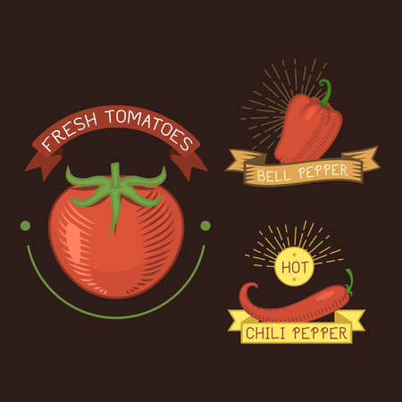 Vector tomato vegetable label template icon.のイラスト素材