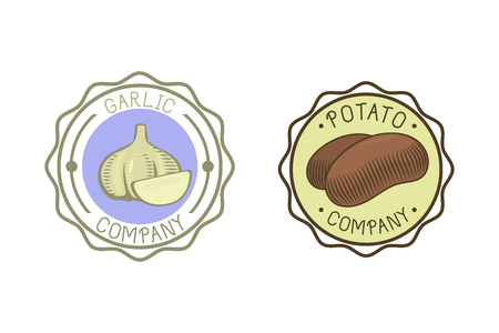 Garlic and potato badge vector illustration.のイラスト素材