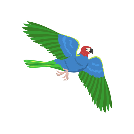 Cartoon parrot flying bird vector illustration.のイラスト素材