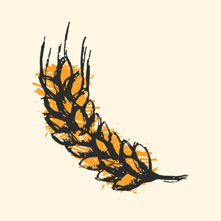 Ear wheat craft sketch isolated vector.のイラスト素材