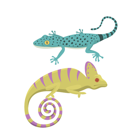 Different kind of lizard reptile isolated vector illustration.のイラスト素材