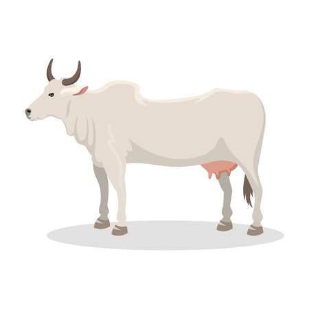 Cartoon cow farm animal vector illustration.のイラスト素材