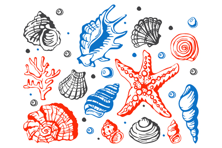 Sea marine shells hand drawn sketch vector illustration.のイラスト素材