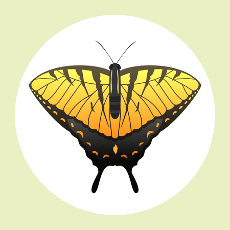 Colorful butterfly with abstract decorative pattern summer free fly present silhouette and beauty nature spring insect decoration. vector illustration.のイラスト素材