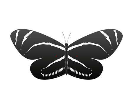 Colorful butterfly with abstract decorative pattern summer free fly present silhouette and beauty nature spring insect decoration. vector illustration.のイラスト素材
