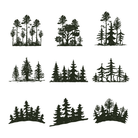 Tree outdoor travel black silhouette coniferous natural badge, tops pine spruce branch cedar and plant leaf abstract stem drawing vector illustration.のイラスト素材