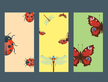 Colorful insects icards wildlife wing detail summer bugs wild vector illustrationのイラスト素材