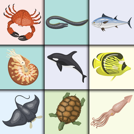 Set of different types of sea animals illustration tropical character wildlife marine aquatic fishのイラスト素材