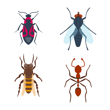Colorful insects icons isolated wildlife wing detail summer bugs wild vector illustrationのイラスト素材