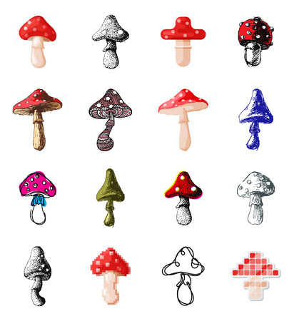 Amanita fly agaric toadstool mushrooms fungus different art style design vector illustration red hatのイラスト素材