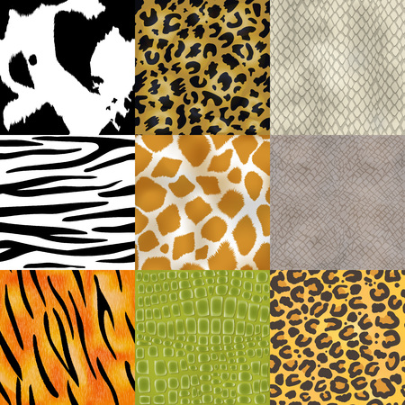 Animal skin pattern seamless vector animalistic skinny textured background of wild skinning natural fur illustration wildlife backdrop set.のイラスト素材