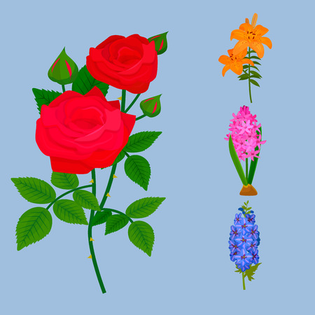 Beautiful vector flower bouquet design decoration nature design floral flower drawing leaf blossom botanical spring woman gift illustrationのイラスト素材
