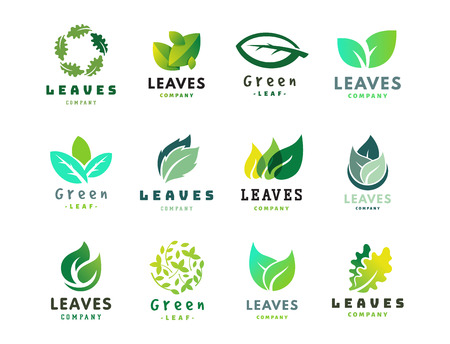 Green leaf eco design friendly nature elegance symbol and natural element ecology organic vector illustration.のイラスト素材
