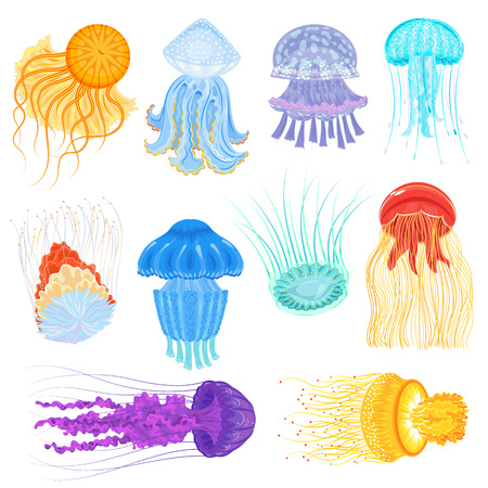 Jellyfish vector ocean jelly-fish and underwater nettle-fish illustration set of jellylike glowing medusa in sea isolated on white backgroundのイラスト素材