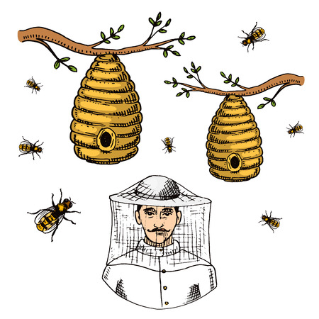 Apiary farm vector hand drawn vintage honey making farmer beekeeper illustration nature product by beeのイラスト素材