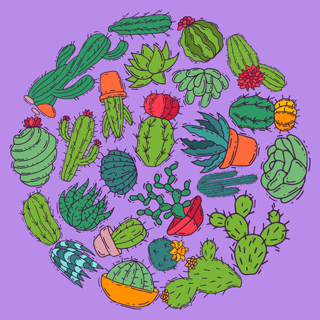 Succulents decorative cacti green plants vector illustration. Nature botanical houseplant floral banner. Cactus design botany bouquet. Decorative flora garden card. Tropical romantic plant blossomのイラスト素材