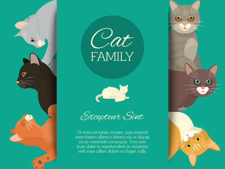 Cats family show banner grooming or veterinary feline flyer vector illustration. Cute kitten pet poster. Funny animal studio. Lovely friendship advertisement pussy cat character.のイラスト素材
