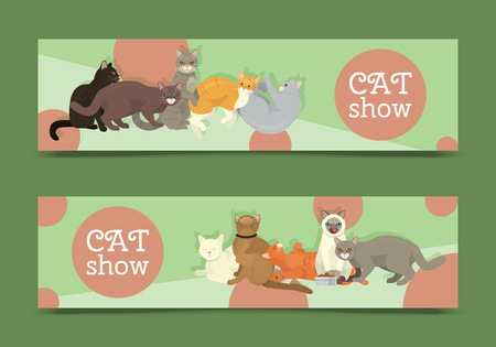 Cats show banner grooming or veterinary feline flyer vector illustration. Cute kitten pet poster. Funny animal studio. Lovely friendship advertisement pussy cat champion character.のイラスト素材