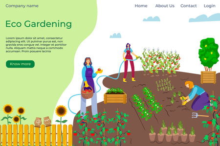 Flat people eco group work in cartoon garden, vector illustration. Man woman at agriculture organic outdoor gardening. Farmer man woman characterのイラスト素材