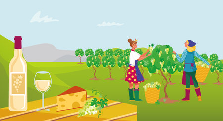 Farmer character winemaker work on wine plantation, factory production process flat vector illustration, worker harvest grape crop.のイラスト素材