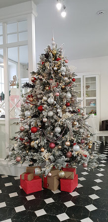 Decorated Christmas tree with red, gold and silver ornaments and wrapped presents under it, creating a cozy festive atmosphere in a modern interior.の写真素材