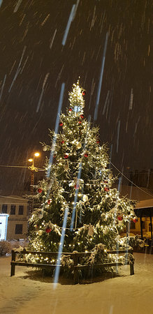 Beautiful night view of a Christmas tree covered with snow and decorated with glowing lights and ornaments in Riga, Latvia. Festive and peaceful winter atmosphere.の写真素材