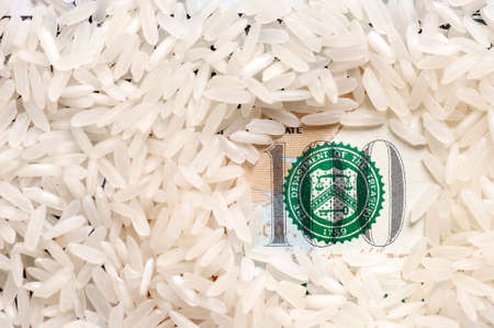 Rice grains on one hundred dollarsの写真素材
