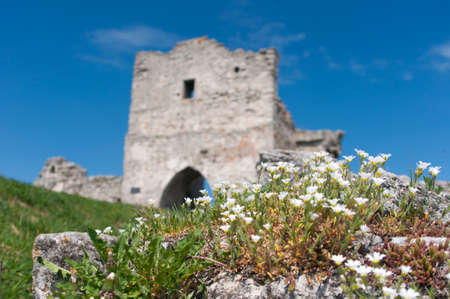 Ruins of Kudryntsi Castle in Ternopil region of Ukraineのeditorial素材