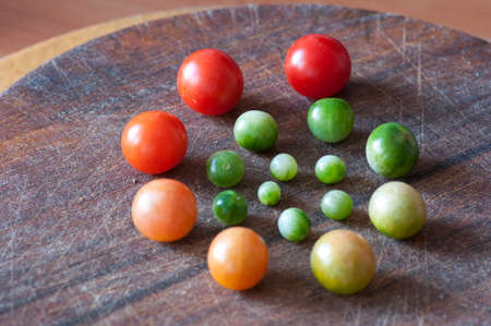 Cherry tomatoes of different size and ripeness situated in circle, life cycleの写真素材