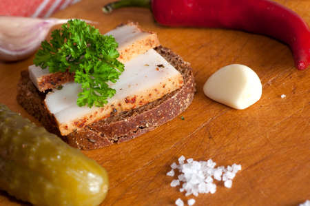 Sandwich with spiced lard served with garlic and pickled cucumberの写真素材
