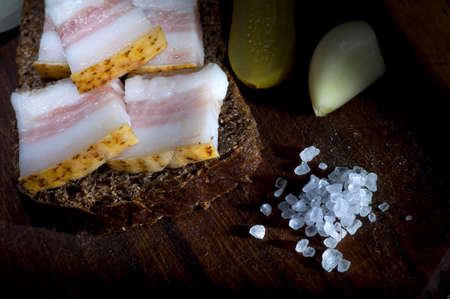 Sandwich with salted lard, served with onion, cucumber and garlicの写真素材