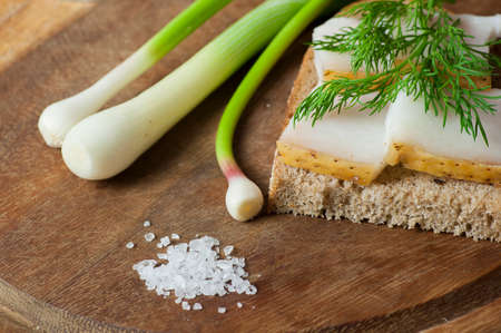 Sandwich with salted lard on rye bread served with green onion and garlicの写真素材