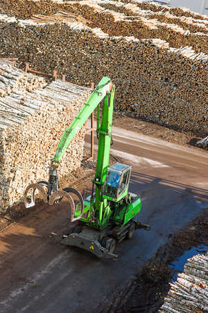 Raw materials birch wood ready for transportation in dockの写真素材