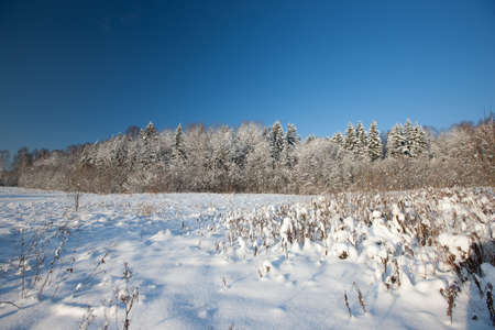 Amazing winter scene from Latvia, Baltic state, Europeの写真素材
