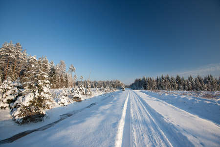 Winter road in country side with fir trees, Latvia, Baltic state, Europeの写真素材
