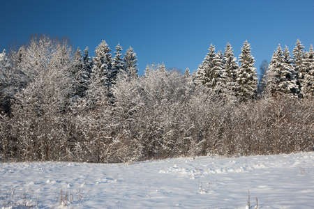 Amazing winter scene from Latvia, Baltic state, Europeの写真素材