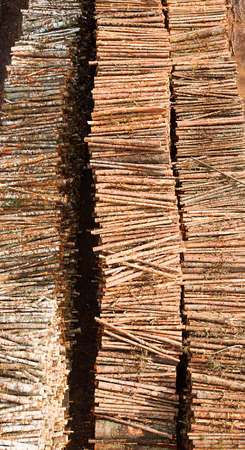 Renewable resource - raw timber materials ready for transportation in dockの写真素材