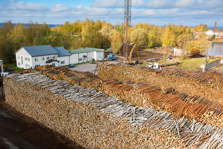 Industrial warehouse - huge heaps with pulpwood ready for transportationの写真素材