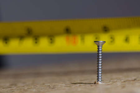 Screw