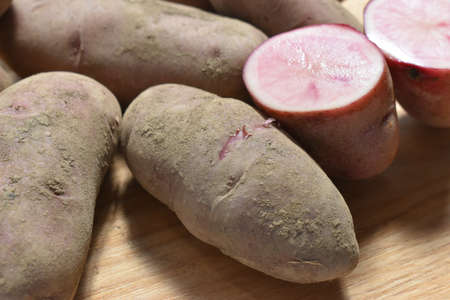 Potatoes Northern Rubyの写真素材