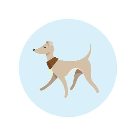Image With Pretty Walking Italian Greyhound. Cartoon Illustration.の写真素材