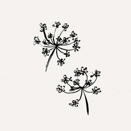 Set of milfoil or wet dandelion flowers. Ink traced collection.のイラスト素材