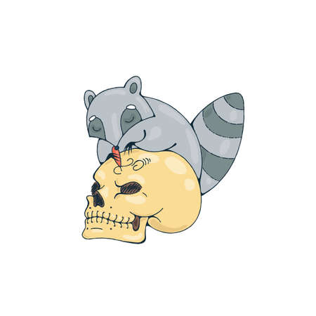 Illustration with raccoon engraves human skull. Vector image.のイラスト素材