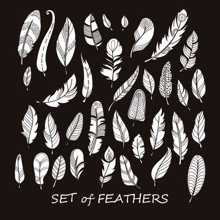 Vector Ornate Set of Stylized and Abstract Silhouette Feathers. Elements for Design and Coloring Pages.のイラスト素材